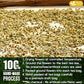 Smooth Sleep & Digest Duo, Chamomile Flower & Fennel Seed Herbal Tea Bags, 100% Natural & Pure Flowers and Seeds, Eco-Conscious & Biodegradable Tea Bags, No Sugar, No Caffeine, No Gluten, Vegan – Herbal Beverage