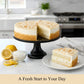 Andy Anand Sugar-Free Lemon Coconut Cheesecake, 9-Inch, 2.9 lb – Keto, Bright Citrus & Toasted Coconut, Diabetic-Friendly Birthday Gift