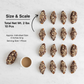 Andy Anand Sugar-Free Dark Chocolate Almond Croissant Cake, 10 pc, 2 lb – Keto & Diabetic-Friendly, Hand-Rolled, Birthday & Holiday Gift
