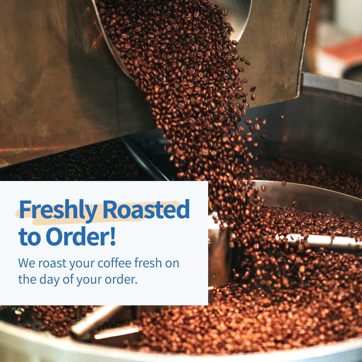 Bali Blue Moon Medium to Dark Roast Whole Bean Coffee 12 oz