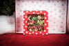 Mountain Bark Gift Box