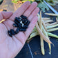 Magpie, Bean