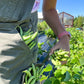 The Easy Start Garden Bundle