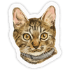 Beans Sticker