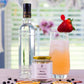 Housewarming Cocktail Gift