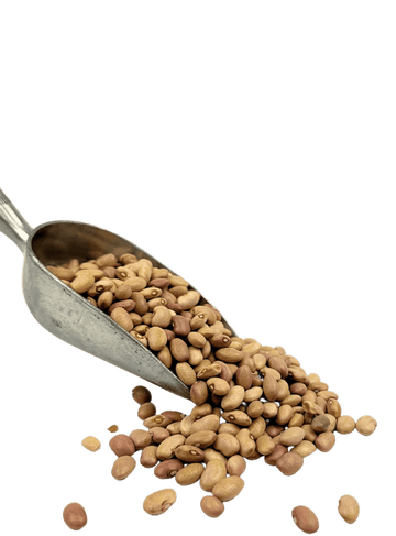 Bolita Beans