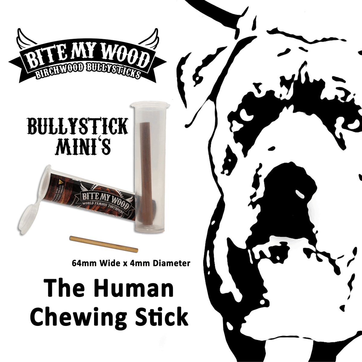 Bully Stick 2.5" Mini - All Natural Birchwood Flavored Human Chewing Sticks | BiteMyWood