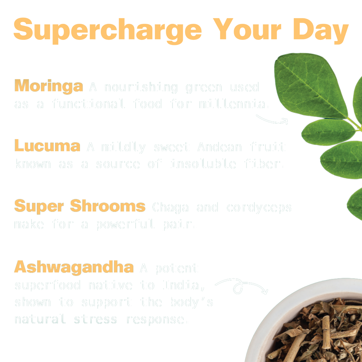 Energy Shake with Plant Protein (Chocolate Peanut Butter)