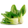 Cabbage Seeds - Pak Choi - Little Shanghai - Hybrid - 1 Lb ~64000 Seeds - Non-Gmo, F1 Hybrid - Asian Garden Vegetable
