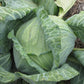 The Heirloom Kitchen Garden Bundle