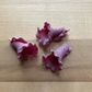 Bronze Die Fresh Campanelle Pasta