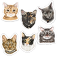 Faces Of Kitty Town Sticker Pack