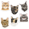 Faces Of Kitty Town Sticker Pack