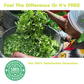 Chaga & Moringa Gummies for Balance