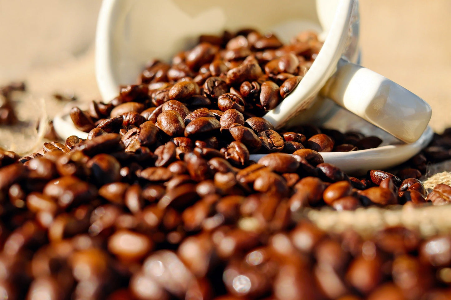 Healing Grounds Sumatra Brew - Organic Medium Roast Specialty Coffee