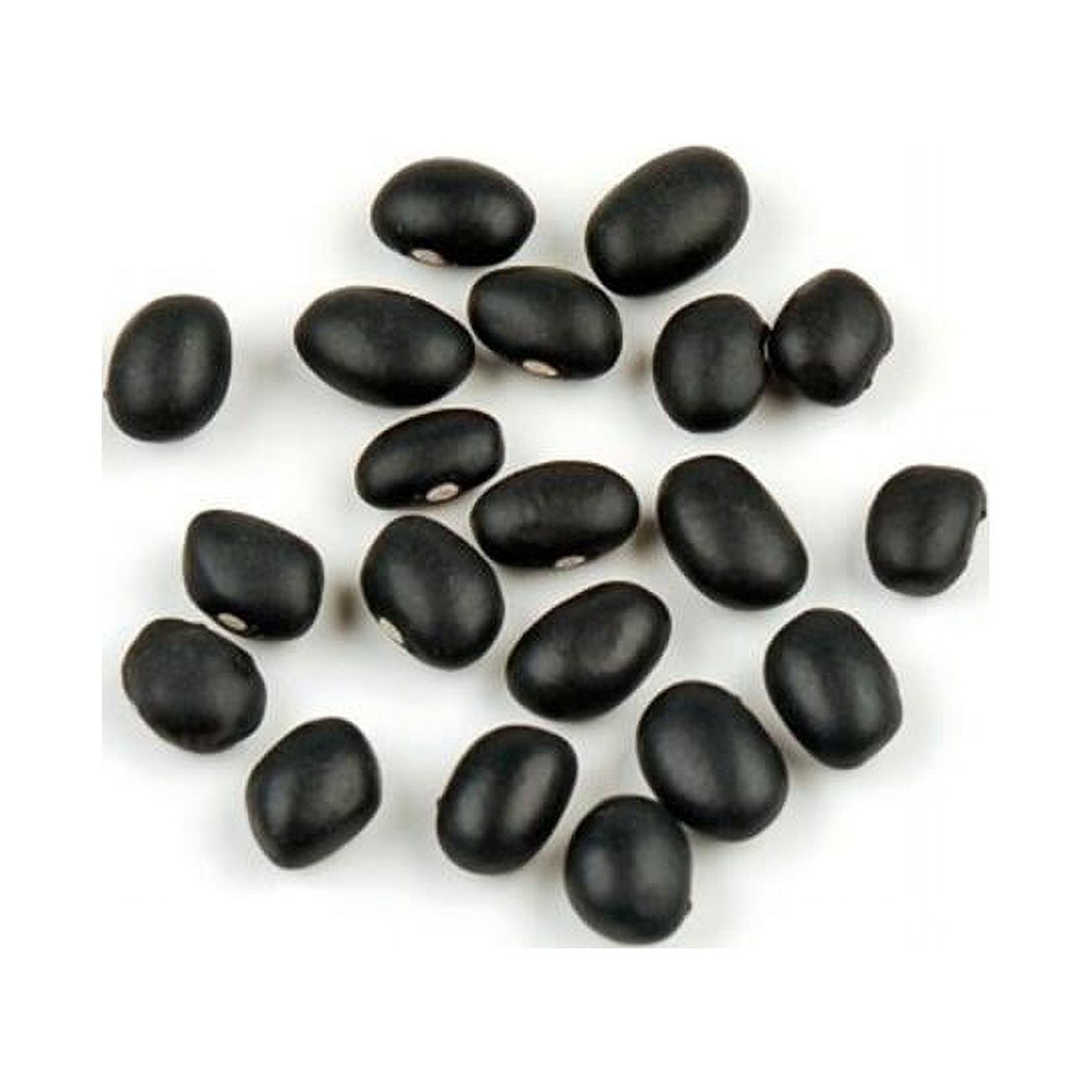 Dallesandro Black Beans - 25 Lbs Bag