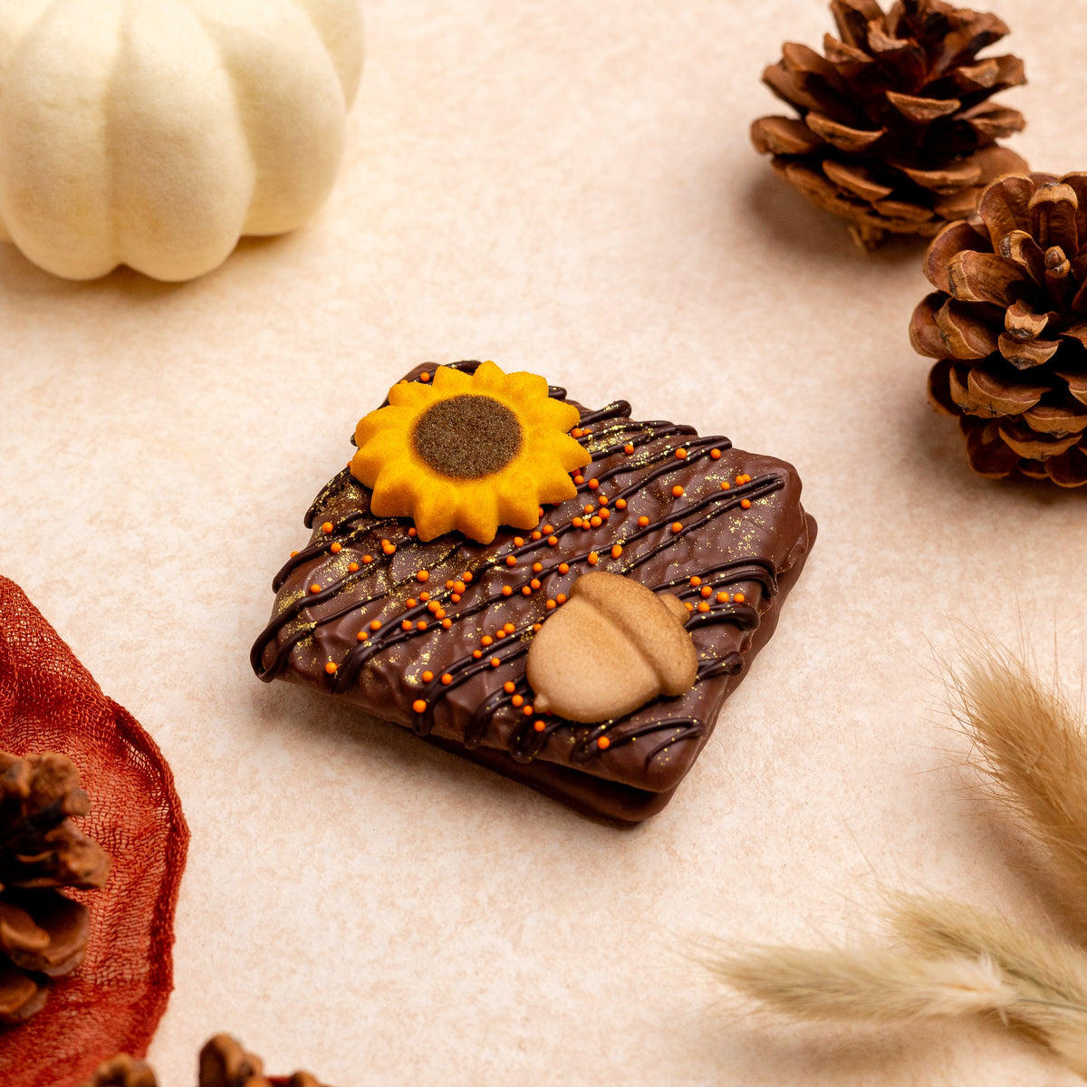 2-Piece Decorated Grahams - Fall