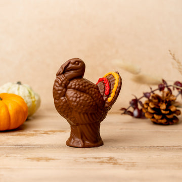Small 3D Turkey
