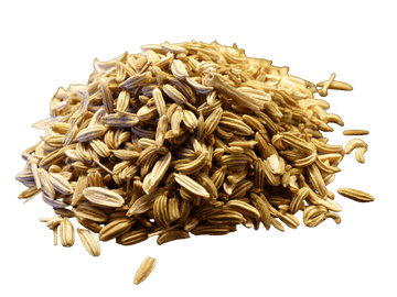 Fennel Seed, Whole
