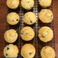 gfJules Gluten Free Corn-Free Multigrain Biscuit & Breakfast Baking Flour - Best By: Oct 2026 (see note below in Description)