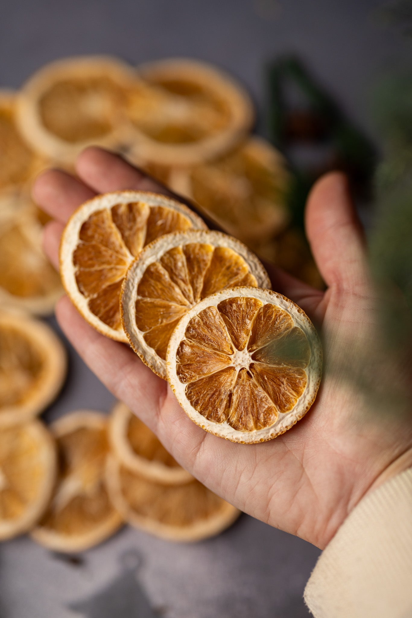 Dehydrated Orange Slices – All-Natural Dried Citrus for Drinks, Crafts & Décor