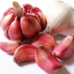 Garlic Lovers Dip Mix