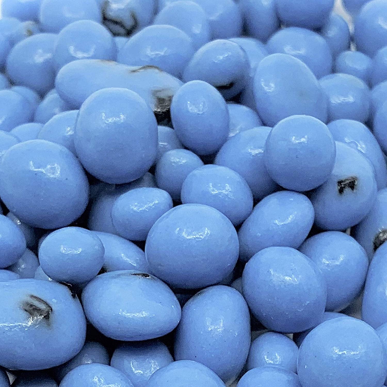 Gourmet Greek Yogurt Coated Blueberries 5 Lbs