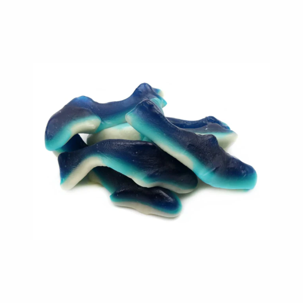Gummy Shark