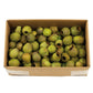 Vickerman Bellgum Pods Bulk  Basil 2Lb Case - H1Blg100