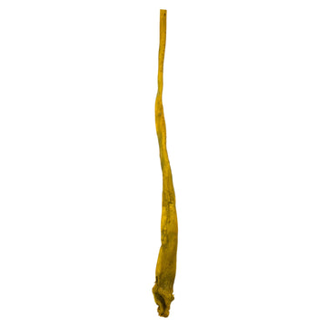 36-38'' Basil Sea Kelp - 1/Pk