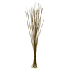 36-40 Lt Basil Caba Spines 24oz