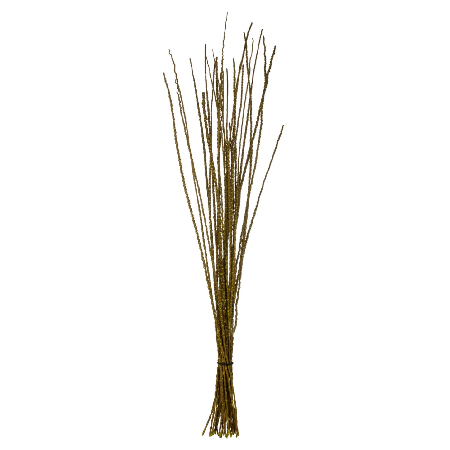 36-40 Lt Basil Caba Spines 24oz