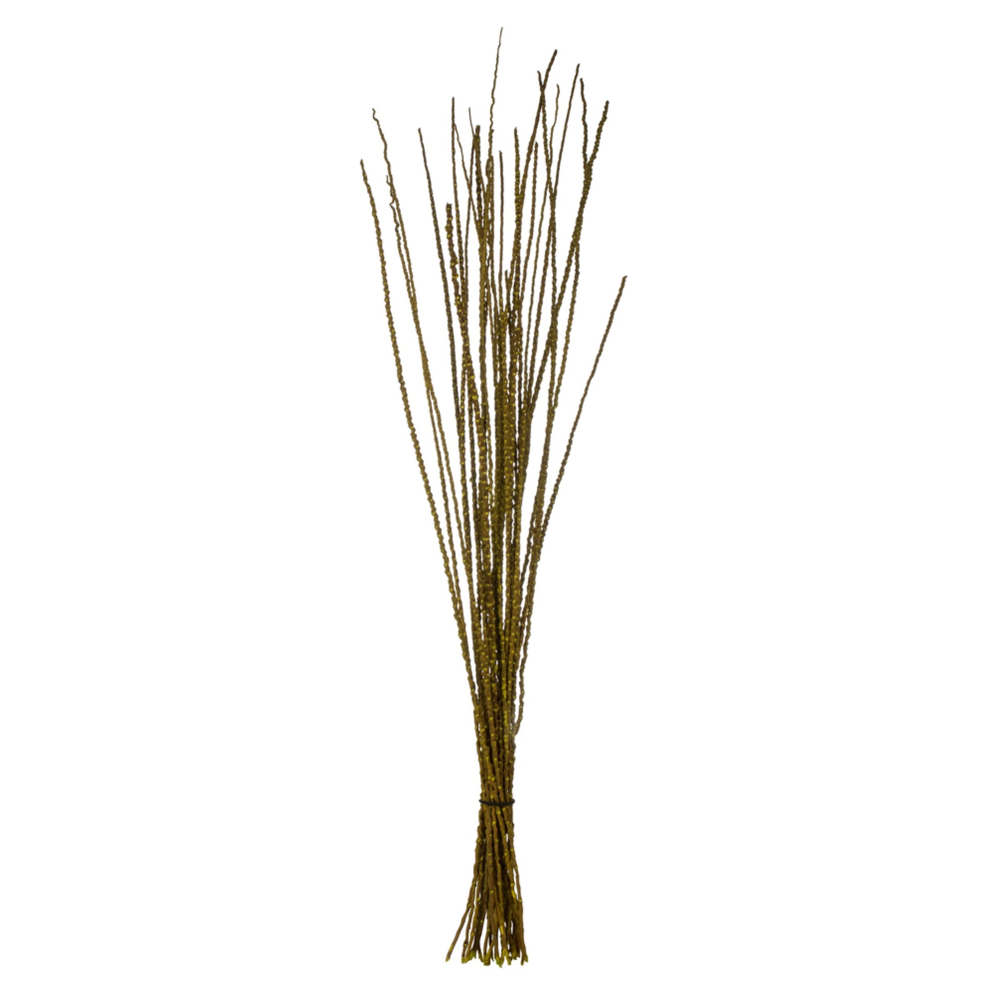 36-40 Lt Basil Caba Spines 24oz