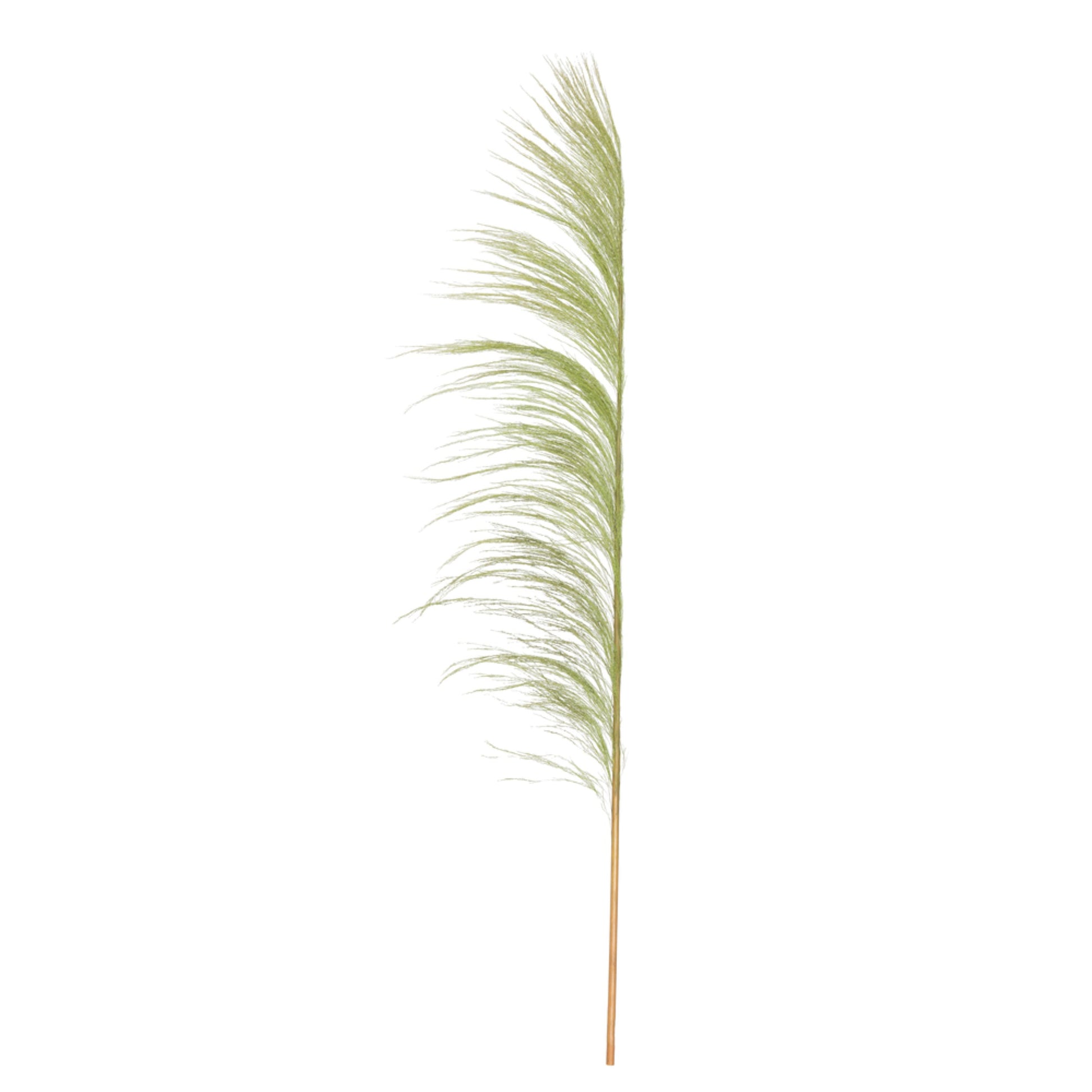 Vickerman 60-72 Basil Uva Palm Spray standing between 60 to 72 inches tall. Pack of 10.