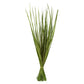 Vickerman 28-32'' Basil Wild Flax Grass. Comes in 12oz (3 -4 oz Bundles) Dried