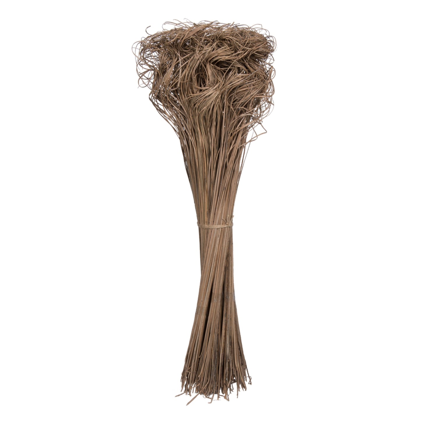 Vickerman Natural Botanicals 24'' Curly Ting Ting Natural. 10 Bunches Per Pack (100 Grams Open Bunch).