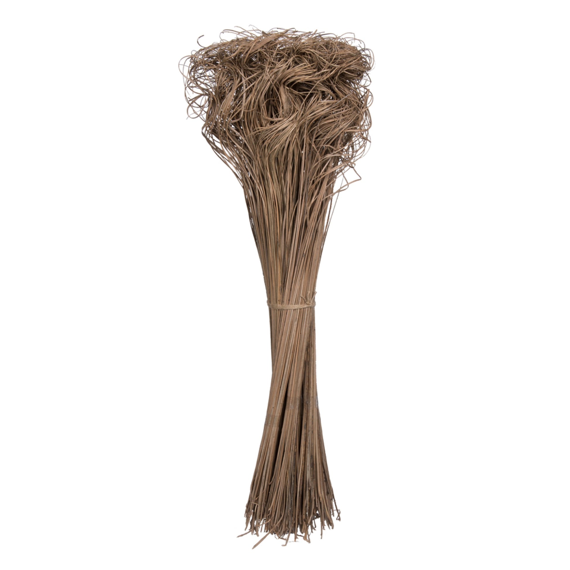 Vickerman Natural Botanicals 24'' Curly Ting Ting Natural. 10 Bunches Per Pack (100 Grams Open Bunch).