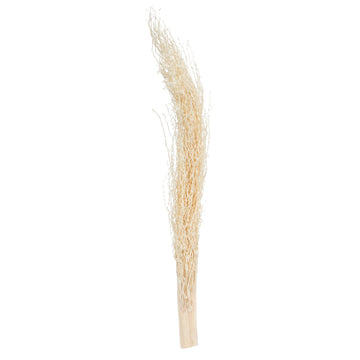 Vickerman Natural Botanicals 8''-12'' Khejur Jhar Bleached. Includes 25 Pieces Per Pack.