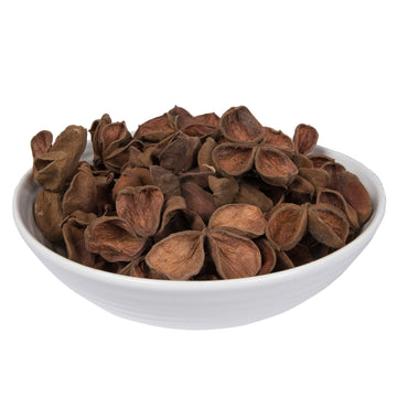 Vickerman Natural Botanicals 3.2''-4'' Land Lotus. Includes 50 Pieces Per Pack.