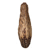 2.8'' Mahogany Pods Natural 100/Pk