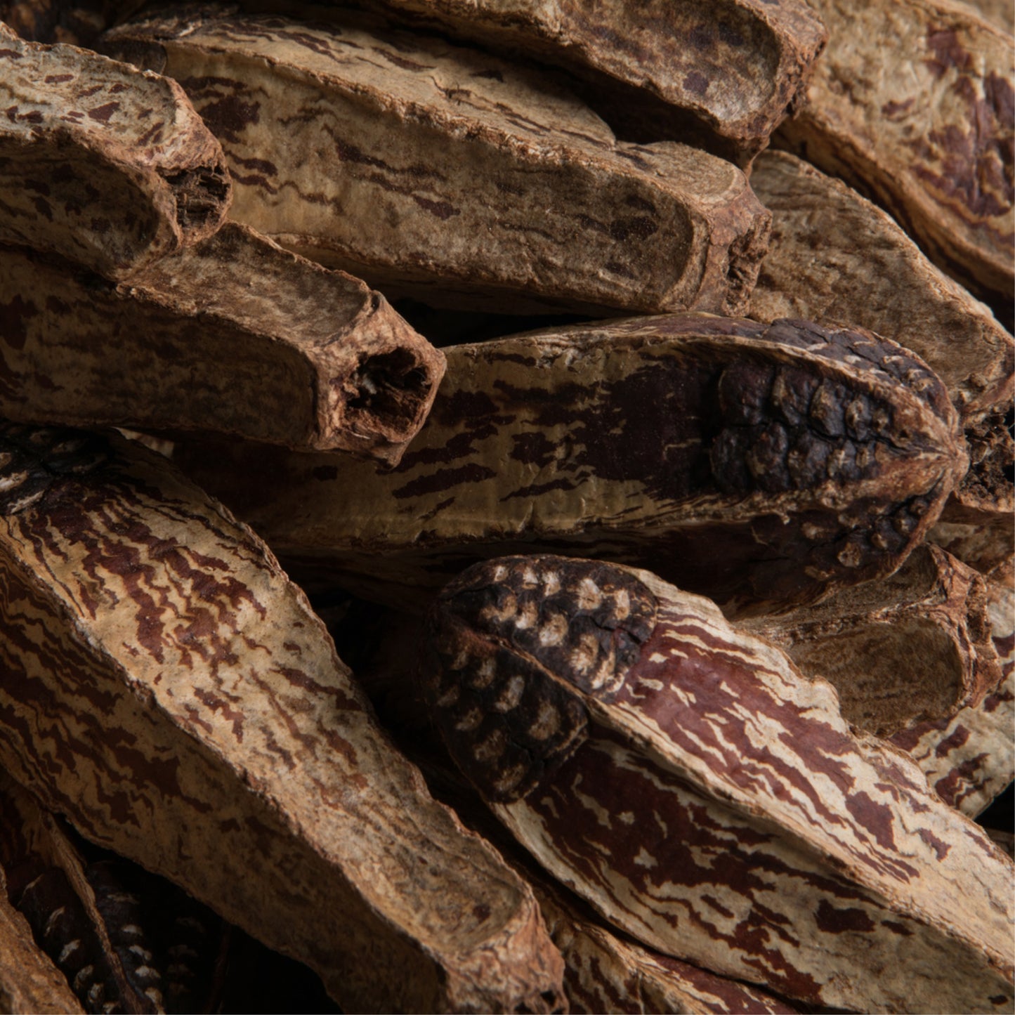 2.8'' Mahogany Pods Natural 100/Pk