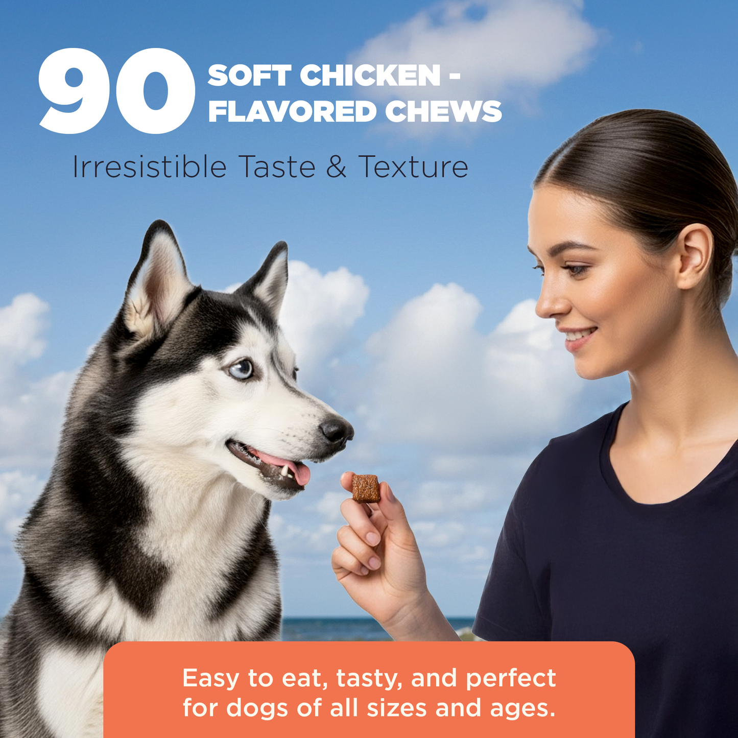 Hip & Joint Chews for Dogs (Two 90 Count Jars, 180 chews)