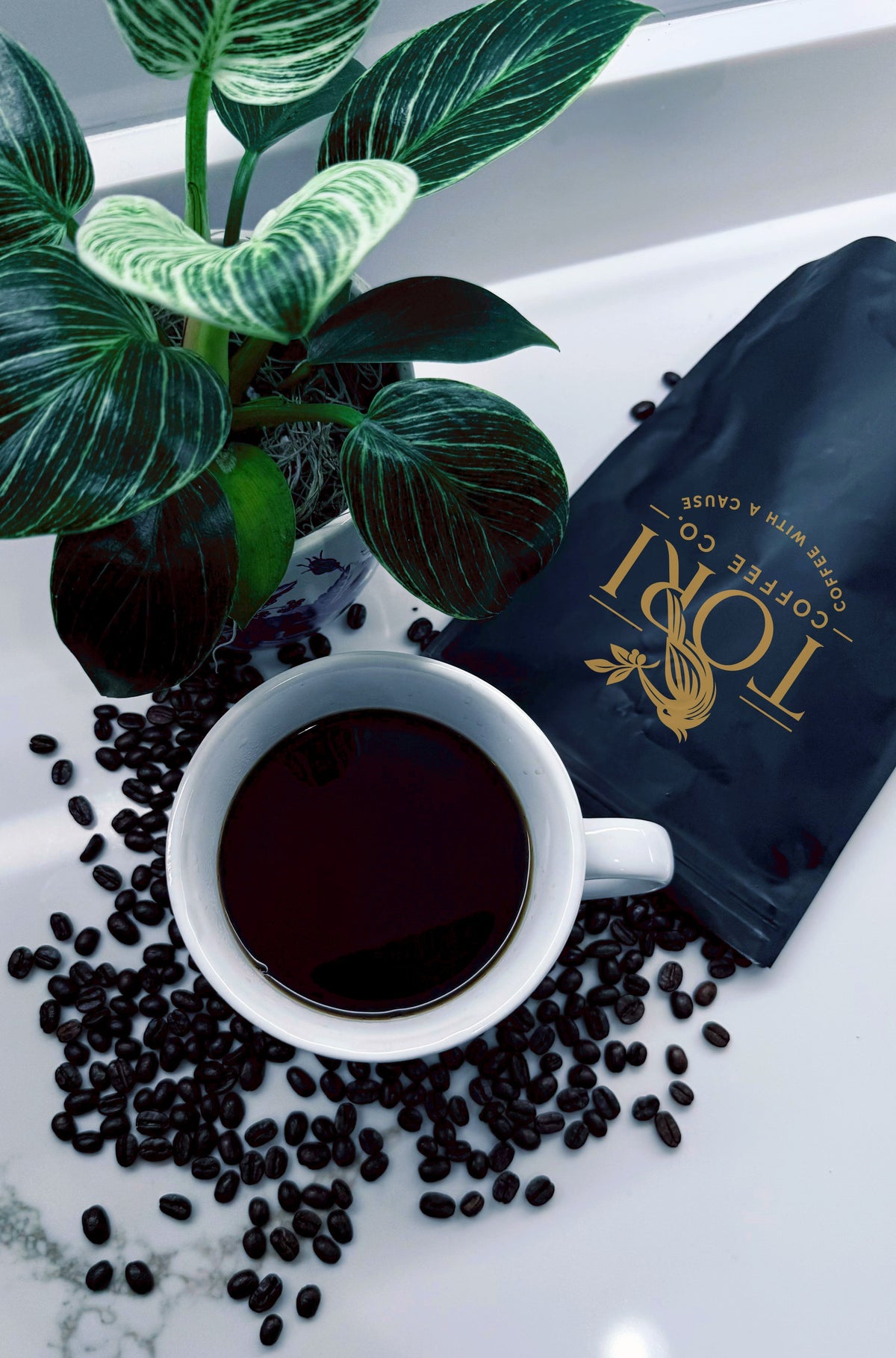 Breakfast Blend | Light Roast | 12oz