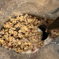 Berry Dark Chocolate Granola