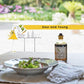 IL TINELLO, Aceto Balsamico di Modena IGP, Yellow Label, (8.5 fl oz) 250ml
