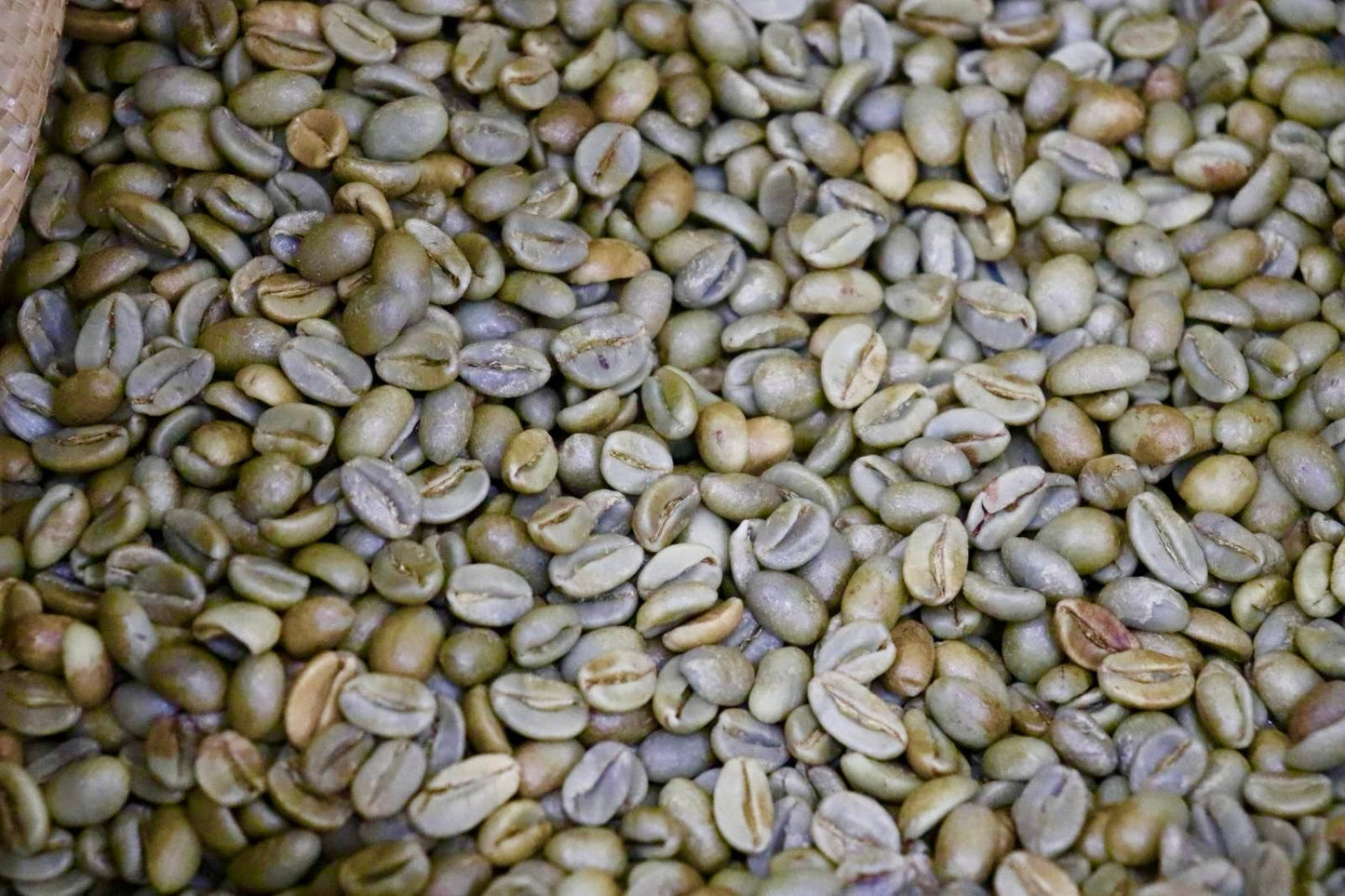 Guadalupe Roastery, Award-Winning Natural Parainema 2026