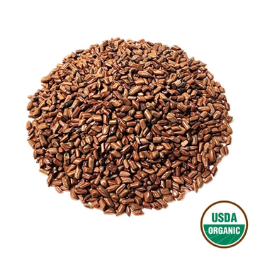 Cassia Seed  (Dry-fried) - Cassia obtusifolia Semen - Jue Ming Zi (Chao) - Organic Grade