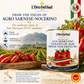 L'Oro Del Sud, D.O.P San Marzano Tomatoes of Agro Sarnese-Nocerino Area, (88 fl. oz) 2550g