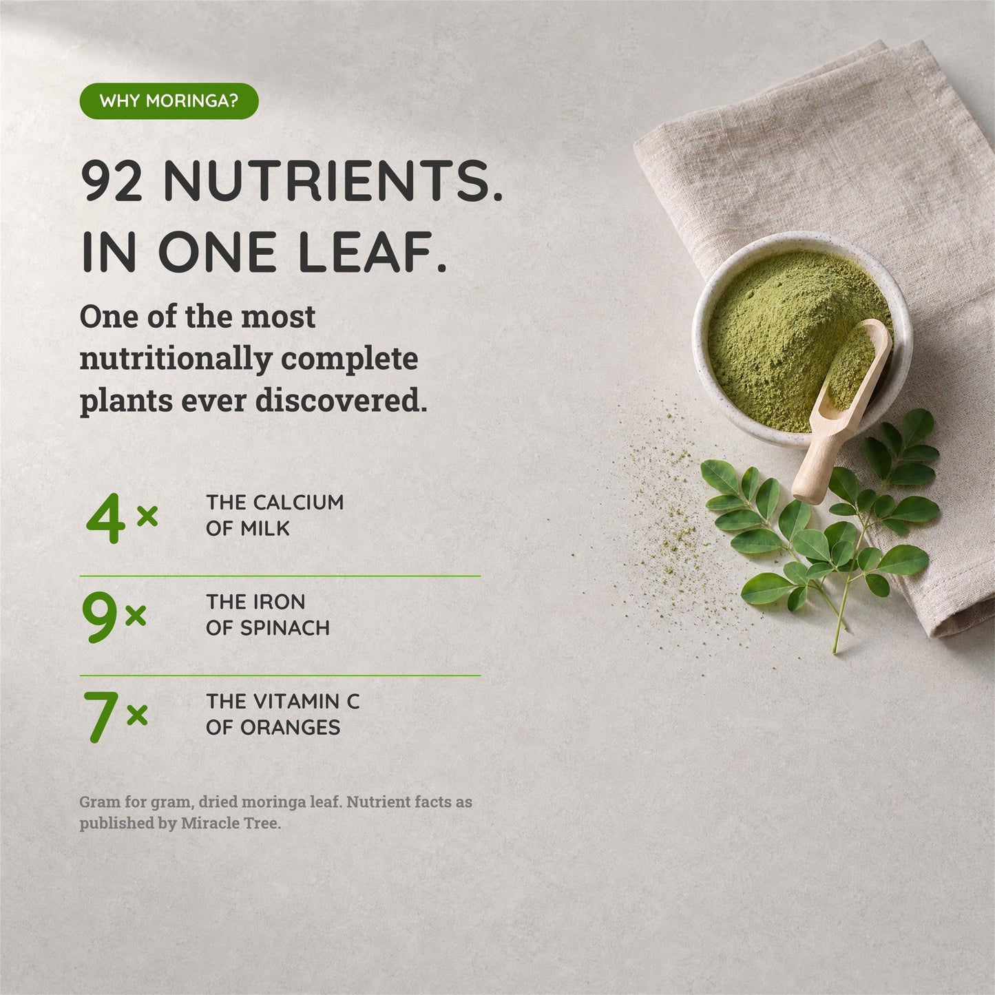 Organic Moringa Powder - 8oz Canister