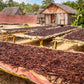 Ugandan Vanilla Beans - Grade A Whole Pods for Vanilla Extract Baking